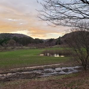 Meet your Posher, Rosie